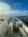 Containerskepp till salu