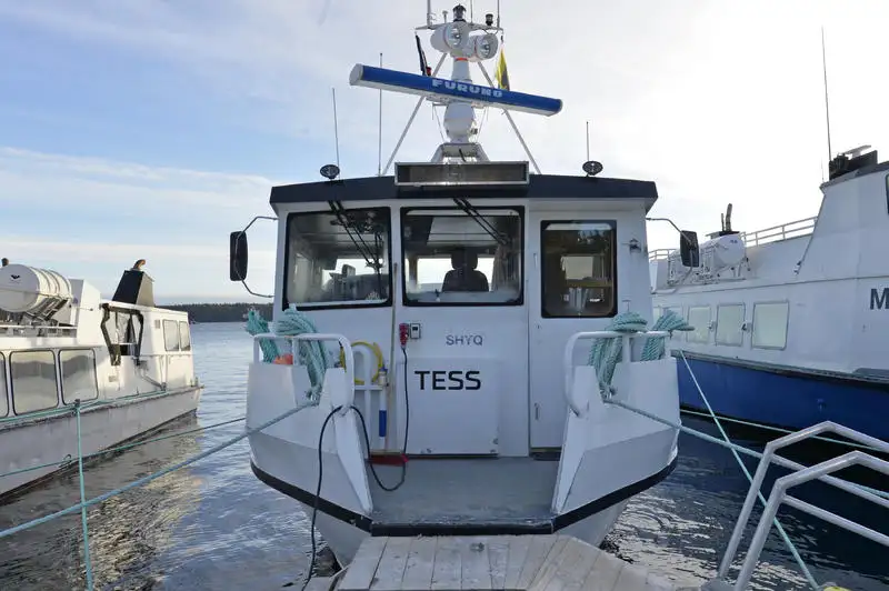 Kryssningsfartyg till salu
