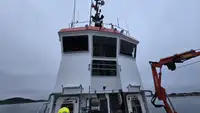 Bogserbåt till salu