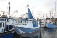 Levande fisktransportfartyg till salu