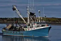 Purse seiner till salu