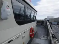 Katamaran till salu