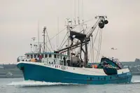 Purse seiner till salu