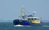 Bottentrålare till salu