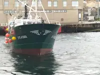 Trålare till salu