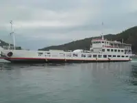 Ro-Ro ship till salu
