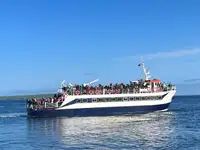 Passagerar skepp till salu