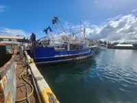 Trålare till salu