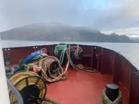 Bogserbåt till salu