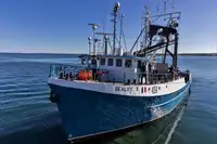 Purse seiner till salu