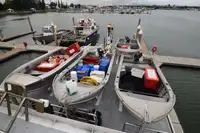 Trålare till salu