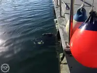Trålare till salu