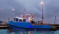 Bogserbåt till salu