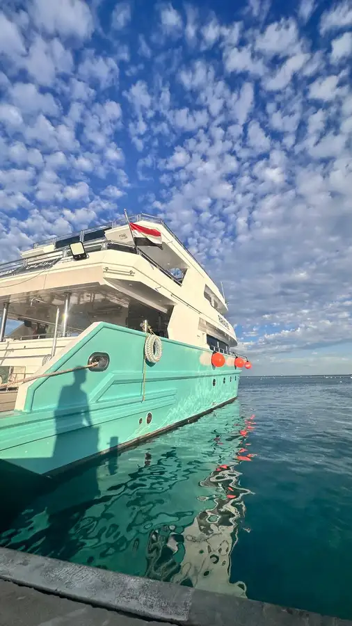 Kryssningsfartyg till salu