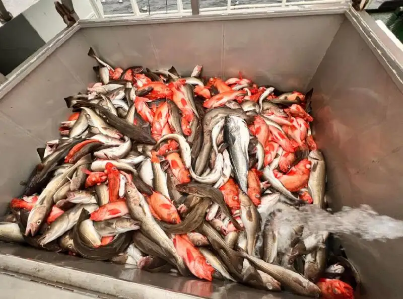 Fisketrålare till salu