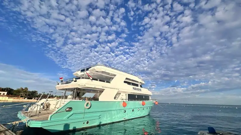 Kryssningsfartyg till salu