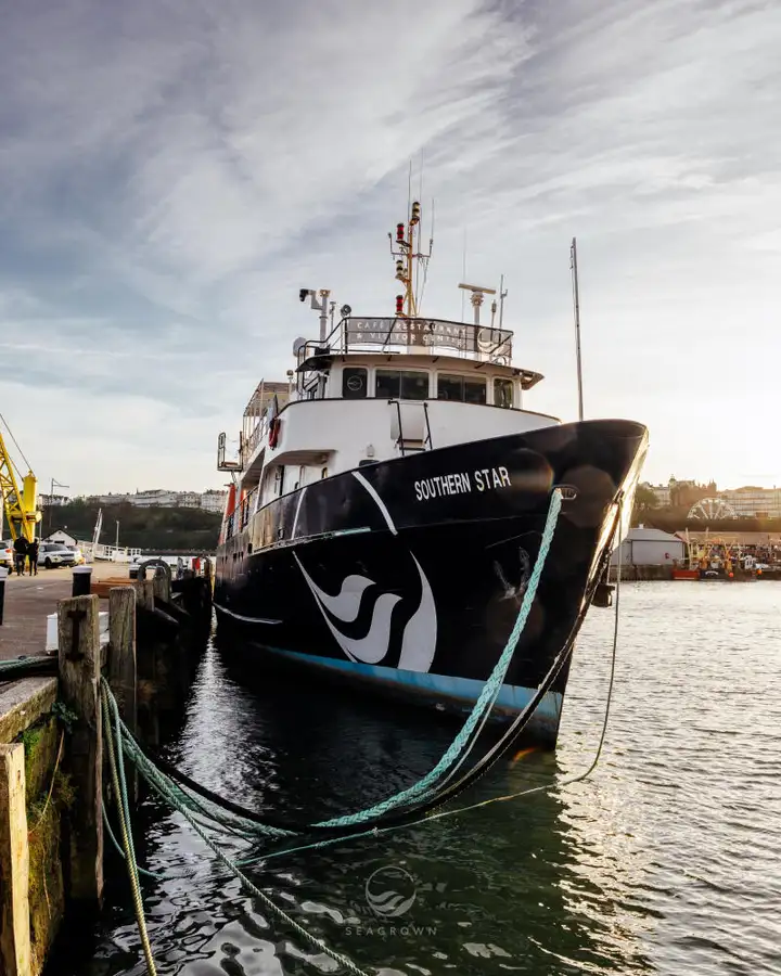 Undersökningsfartyg till salu