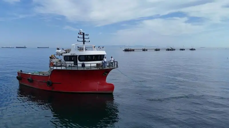 Arbetsbåtar till salu