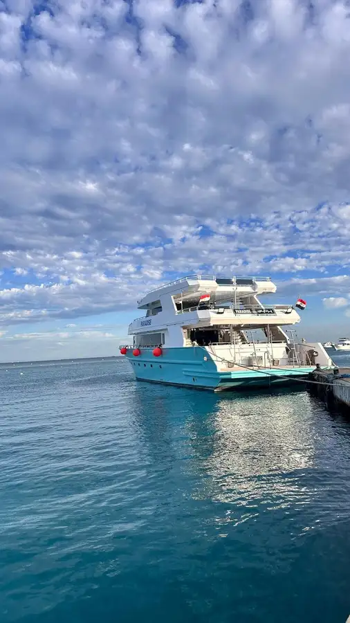 Kryssningsfartyg till salu