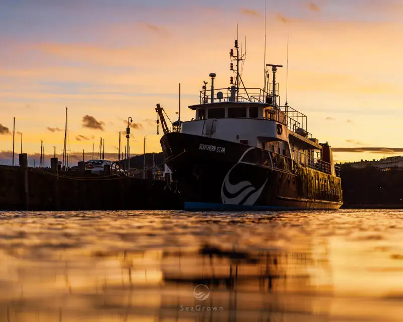 Undersökningsfartyg till salu