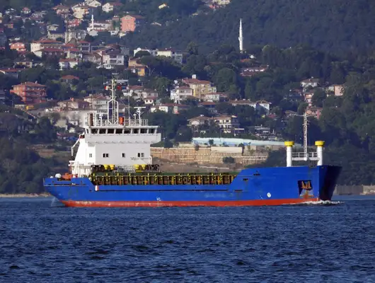 Bulk carrier for sale