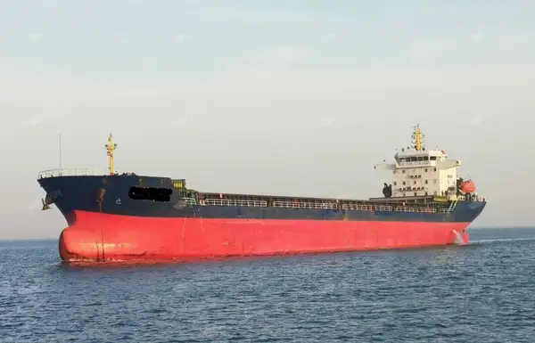 Bulk carrier for sale