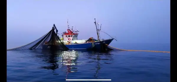 Fishing Trawler for sale