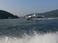 Färjefartyg till salu