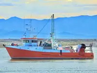 Fisketrålare till salu