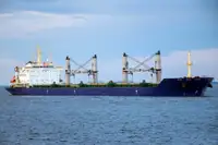 Bulkfartyg till salu