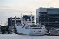 Fisketrålare till salu