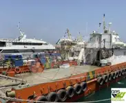 vindkraftsfartyg till salu