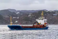 Bulkfartyg till salu