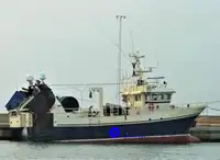 Fartyg för fiskbearbetning och leverans till salu