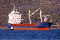 Bulkfartyg till salu