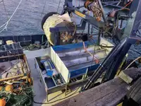 Metallskrot till salu