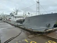 Långrevsfartyg till salu
