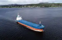 Bulkfartyg till salu