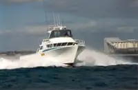 Arbetsbåtar till salu