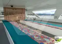 Motorfartyg till salu