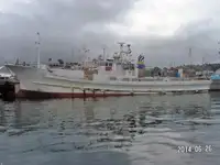 Långrevsfartyg till salu